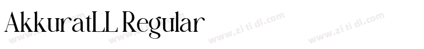 AkkuratLL Regular字体转换